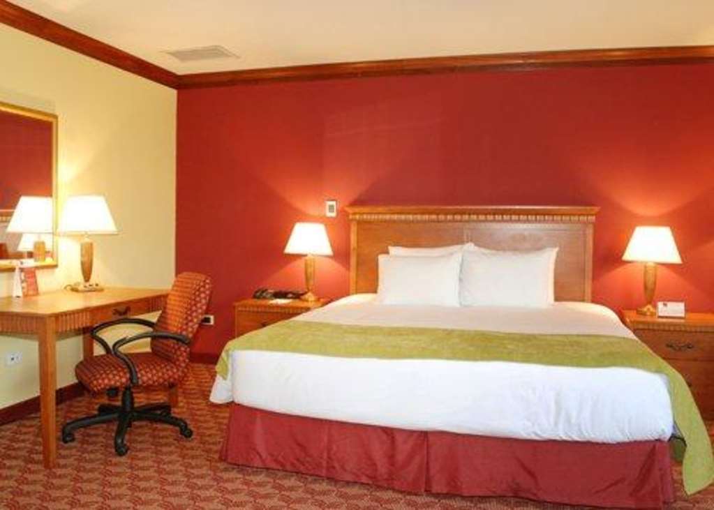 Suites Las Palmas, Hotel & Apartments. San Salvador Room photo